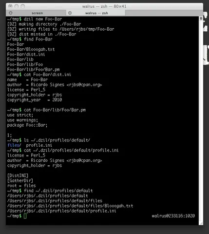 first run of the new, complete-ish `dzil new`