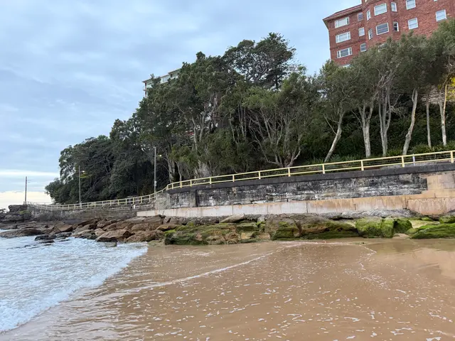at Manly Beach