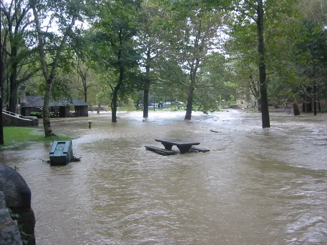 the flood, 2004, img_1867