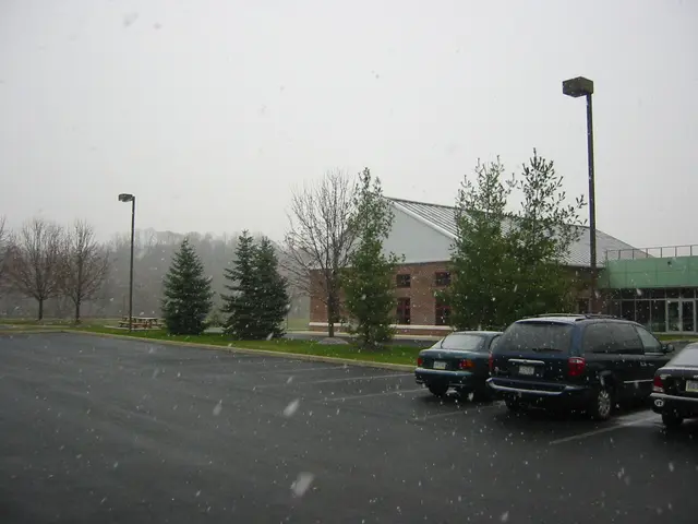 snowstorm, 2003-12, img_0980