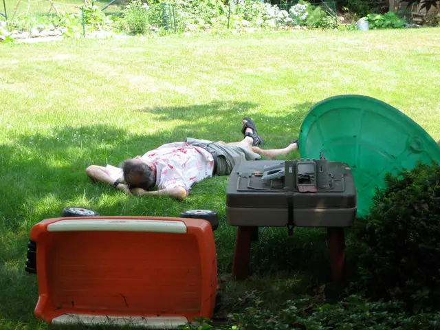 this is the life