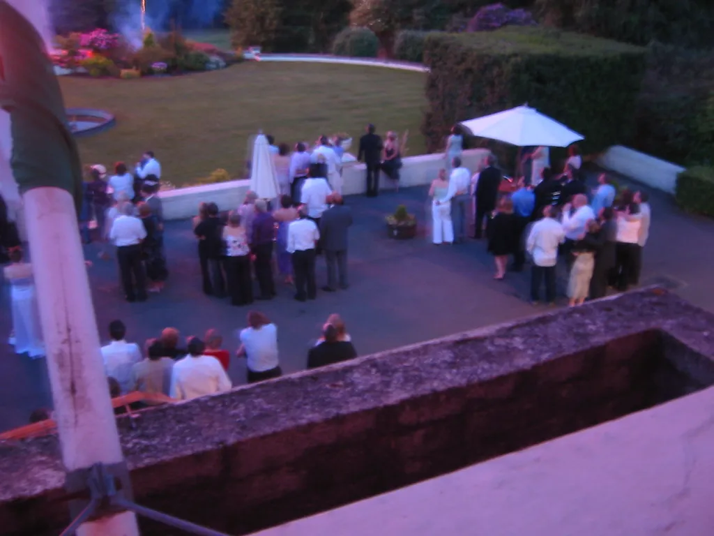 wedding party