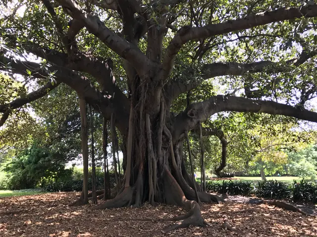 random awesome tree