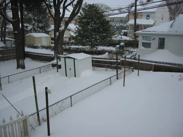 snowstorm, 2003-02, Back Yard