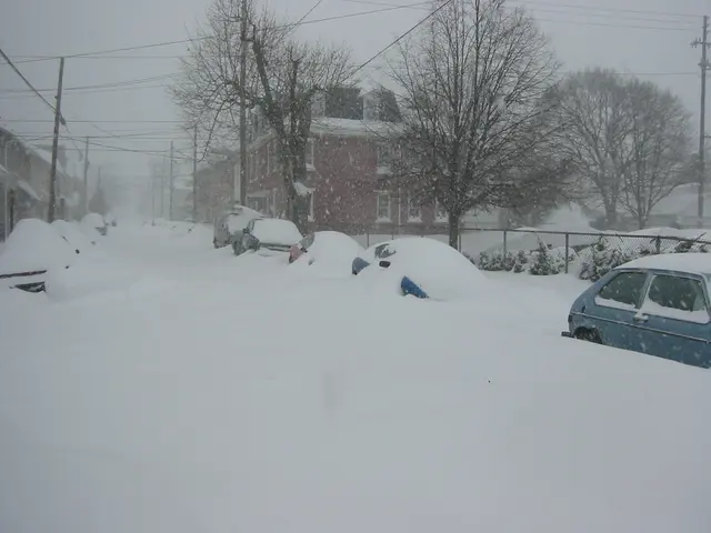 snowstorm, 2003-02, Garrison St