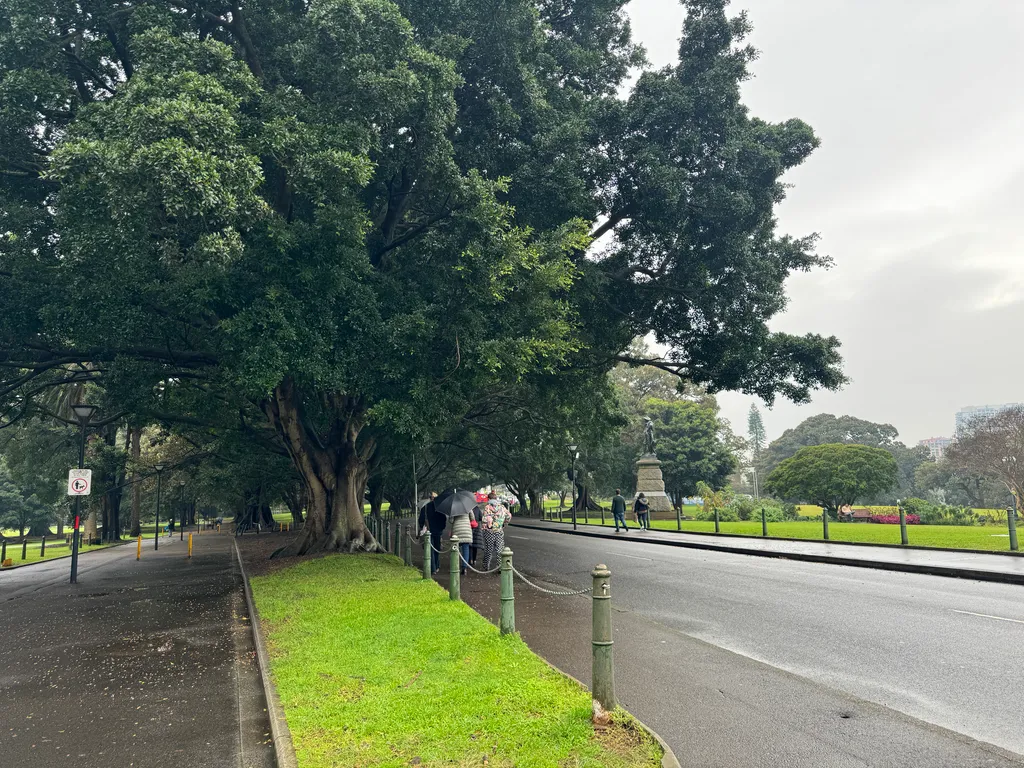 walking to the Gallery NSW