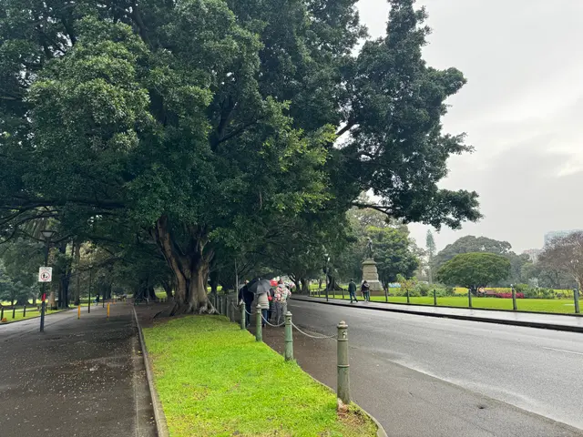 walking to the Gallery NSW