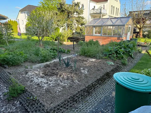 Anne's vegetable garden