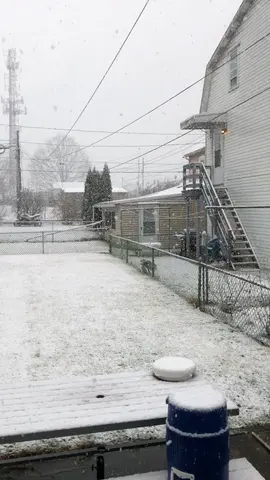 snow