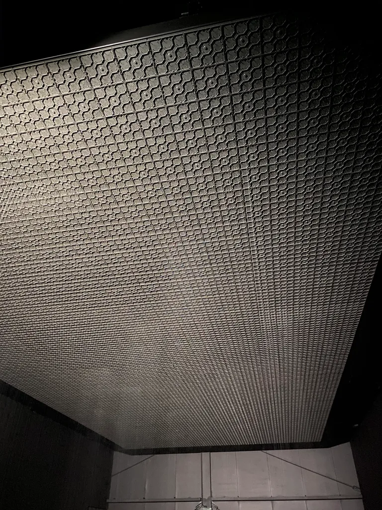 the rain room