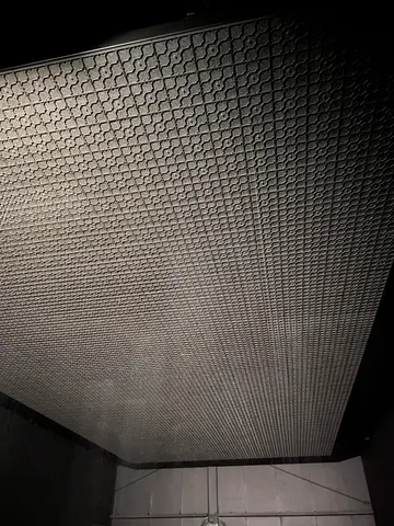 the rain room
