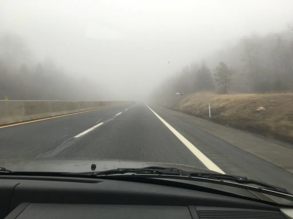 fog fog fog