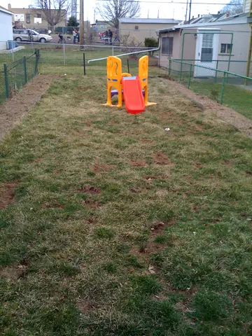 my yard still sucks
