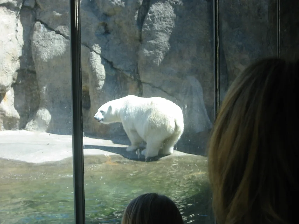 oscon 2003, polar_bear-5