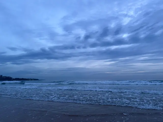 at Manly Beach