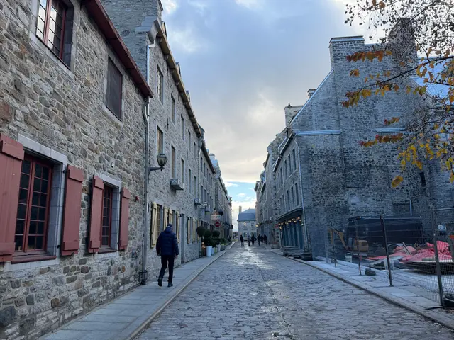 IMG_8310