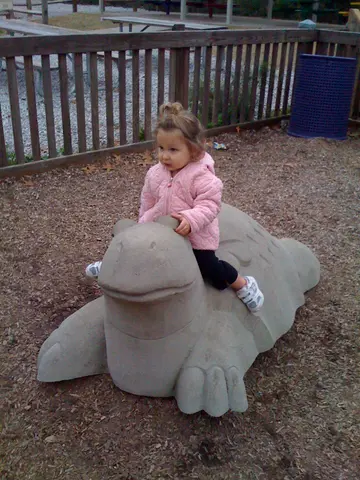 see the turtle of enormous girth