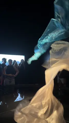 silks at the Museum of Tomorrow