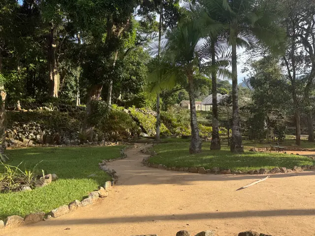 the Botanical Garden in Rio