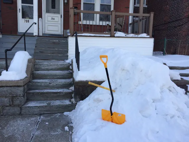 snowpile: before