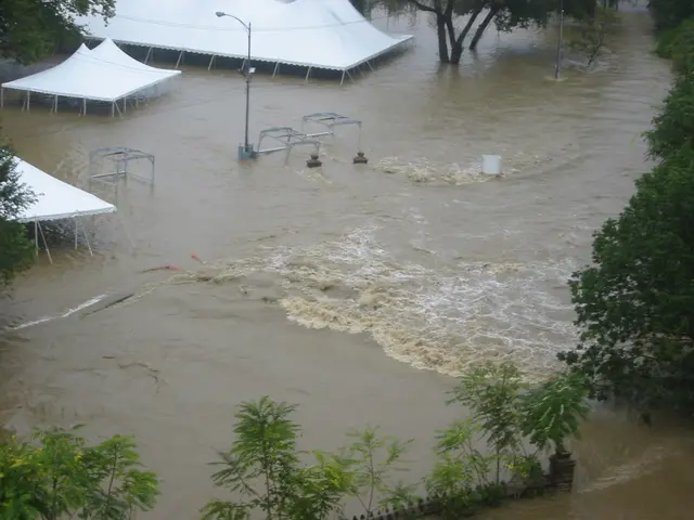 the flood, 2004, img_1822