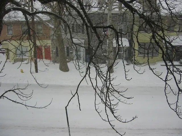 snowstorm, 2003-02, Center St