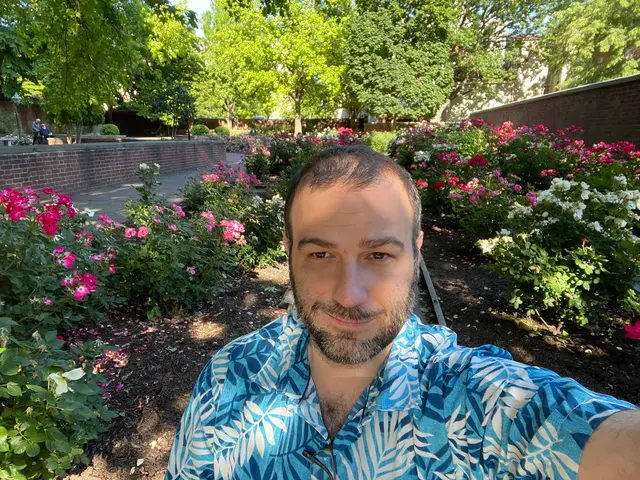 the rose garden