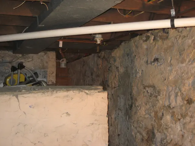 new plumbing in basement
