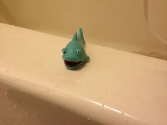 Sharky