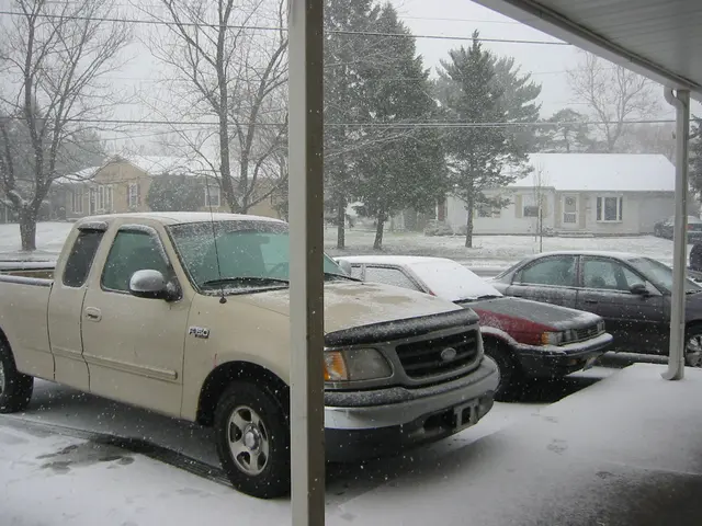 snowstorm, 2003-12, img_0985