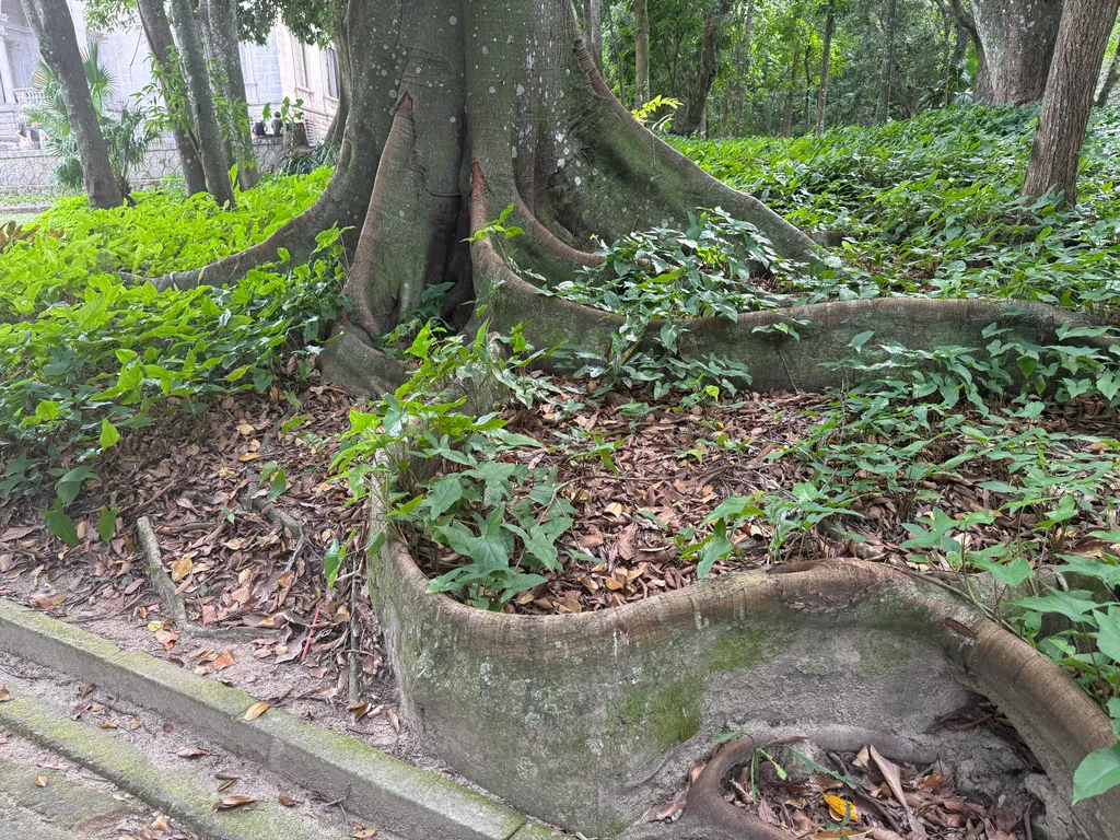 Parque Lage