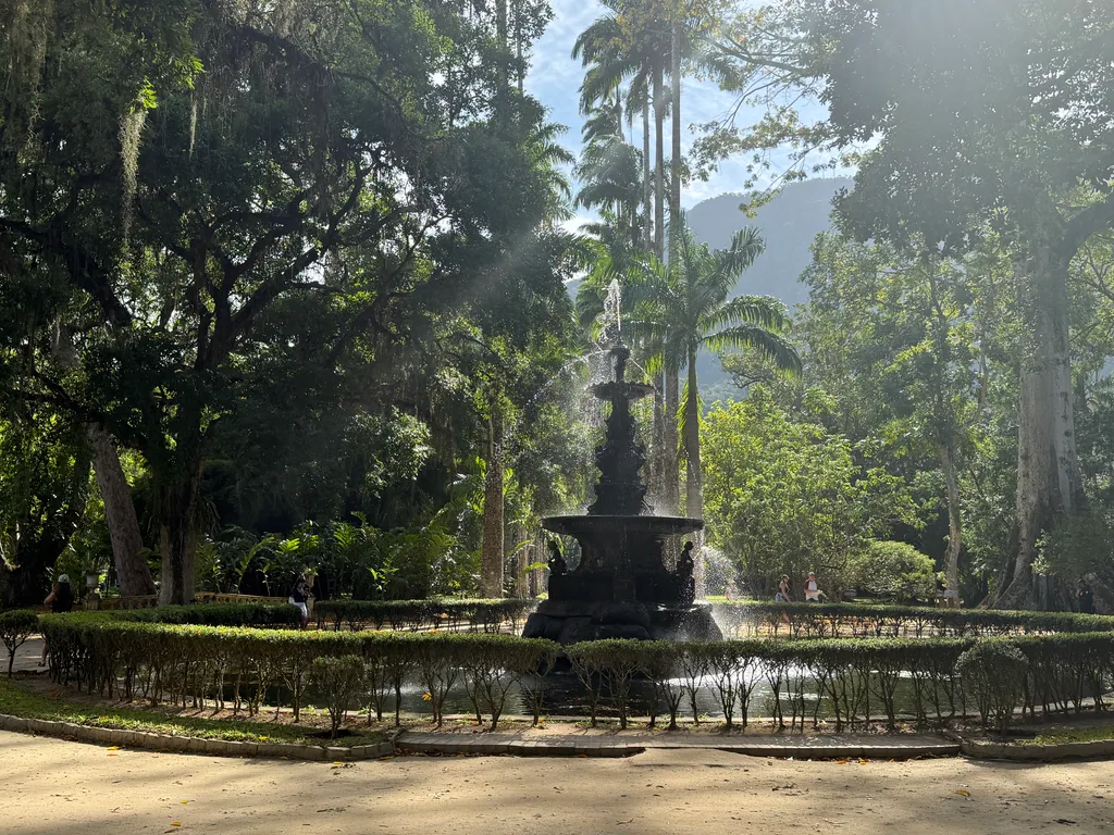 the Botanical Garden in Rio