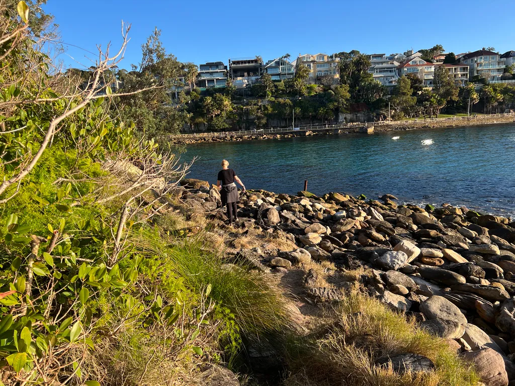 bushwalk