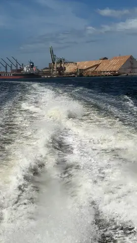 from the MONA ferry