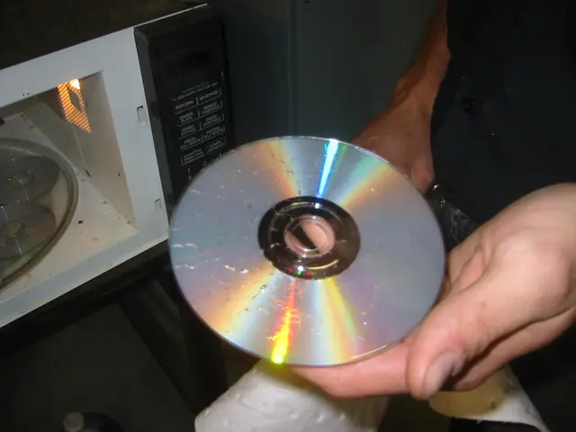 destroying old msdn discs, img_1769