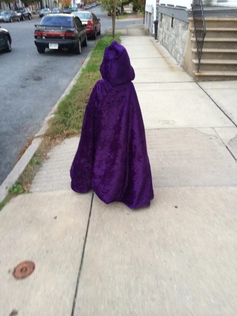 Raven heading to school