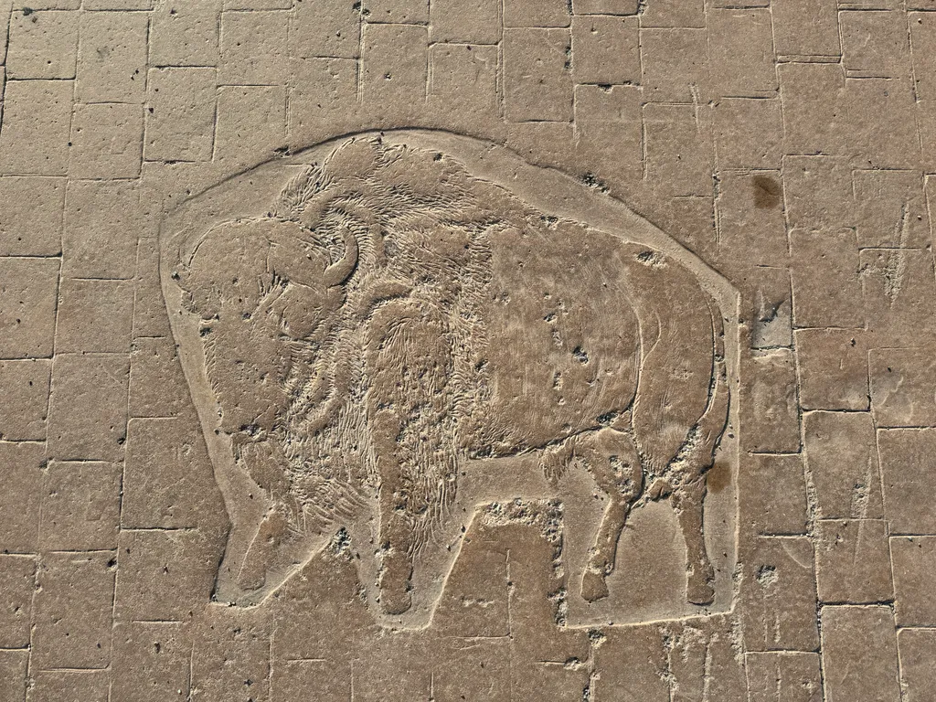 yet another Buffalo