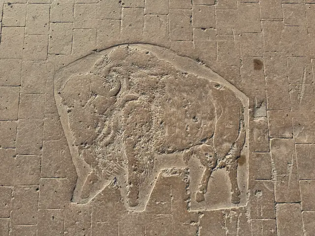 yet another Buffalo