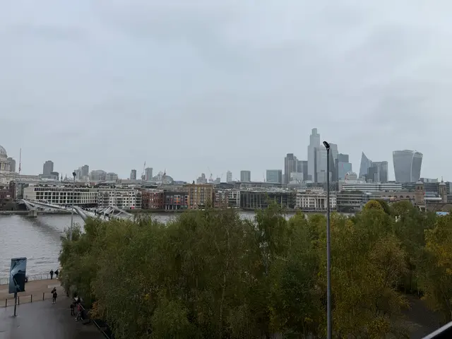 the Tate Modern