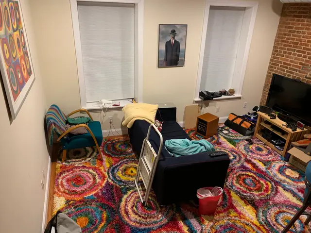 we didn't keep the rug
