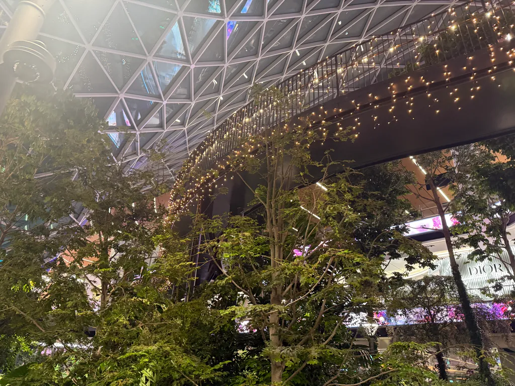 the Orchard at Doha