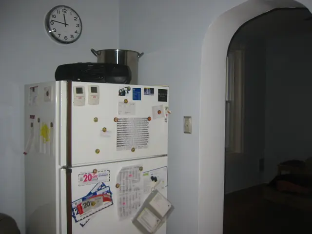 kitchen, from the north