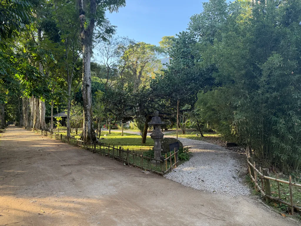 the Botanical Garden in Rio