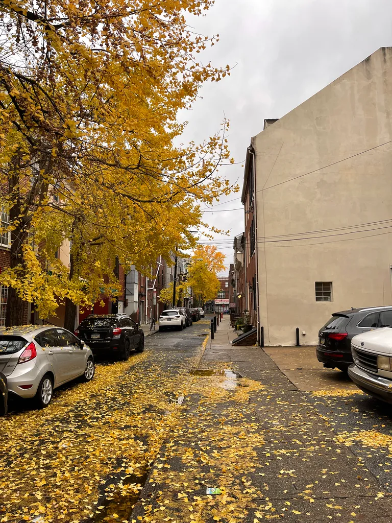 Gaskill St