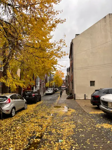Gaskill St
