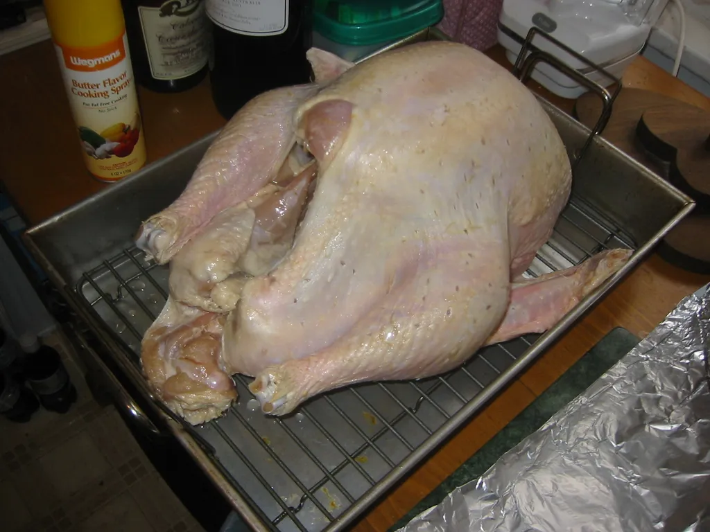 thanksgiving 2004, img_0021
