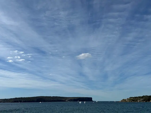 Sydney harbor