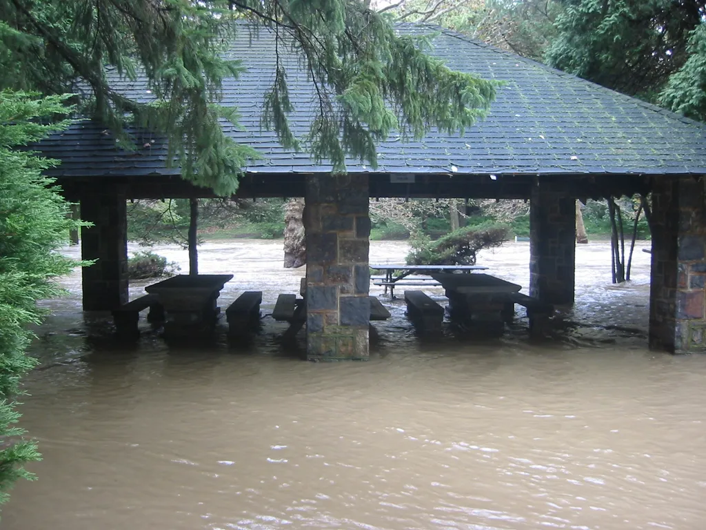 the flood, 2004, img_1866