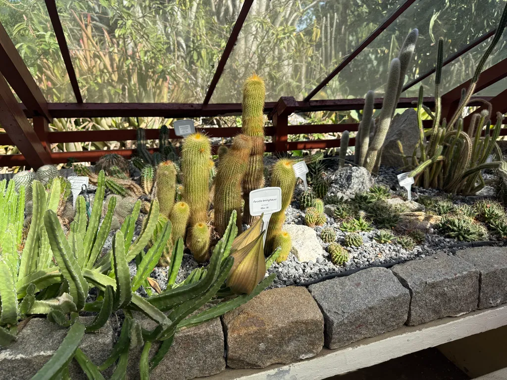 the Botanical Garden in Rio