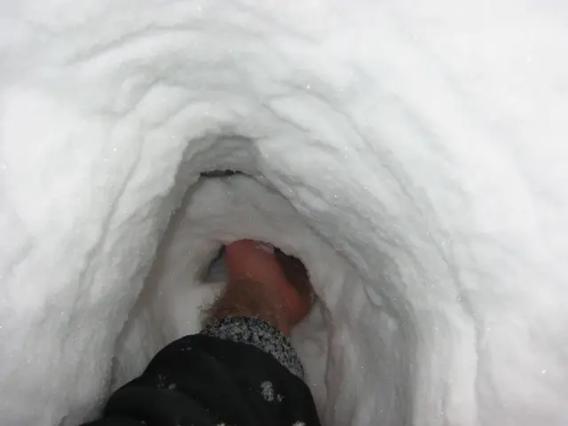 snowstorm, 2003-02, Arm Deep